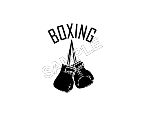 boxing sample image png