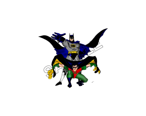 batman and robin in action sample image png