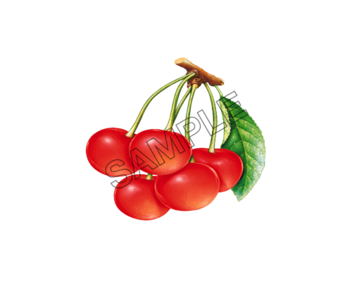 cherry natural sample image png