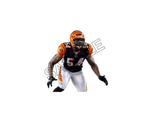 NFL defense sample image png