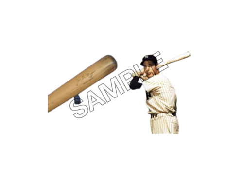 Joltin’ Joe hitting a ball , sample image png