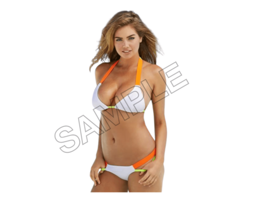 summer bikini girls sample image png