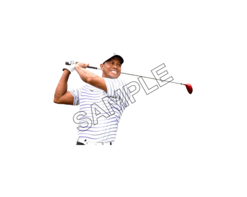 tiger woods hitting ball sample image png