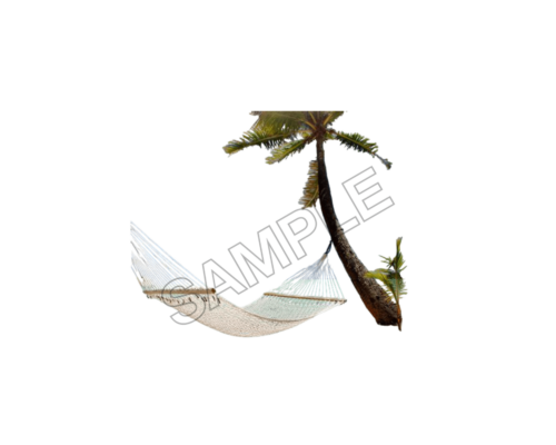 beautiful tahiti beach summer sample image png