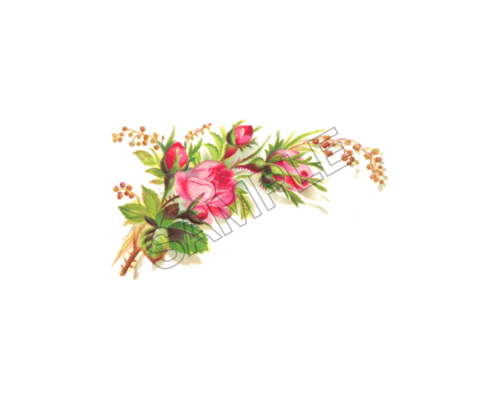 flowers sample image png