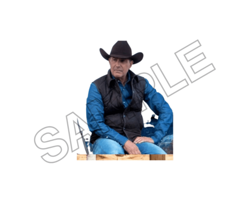 kevin costner sample image png