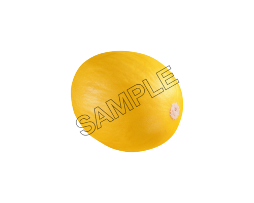 melon ambrosial sample image png