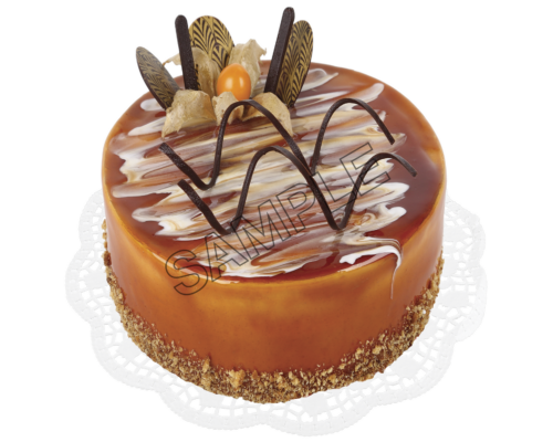 chocolate cake sample image png