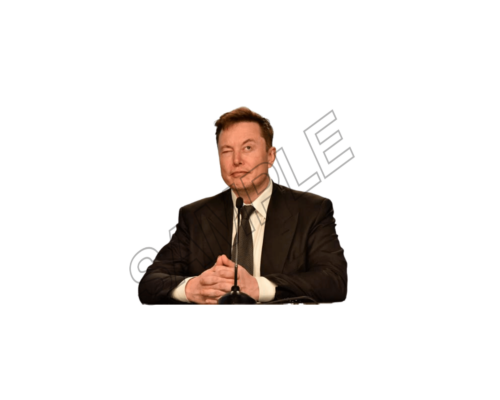 elon musk joking sample image png