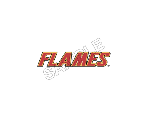 flame sample image png