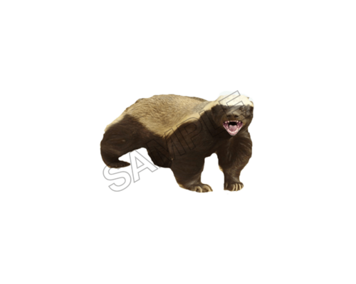 badger sample image png