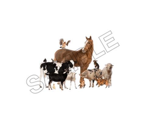 animals sample image png