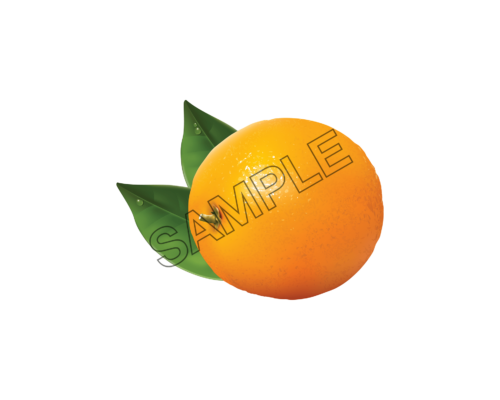 orange natural sample image png