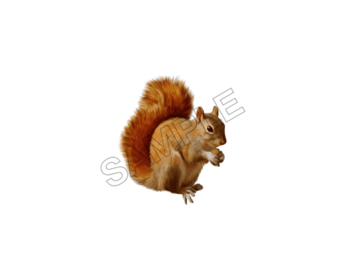 animals sample image png