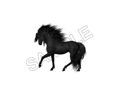 horse sample image png