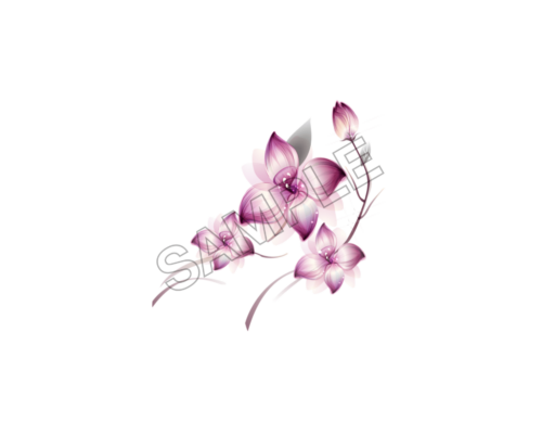 flowers sample image png