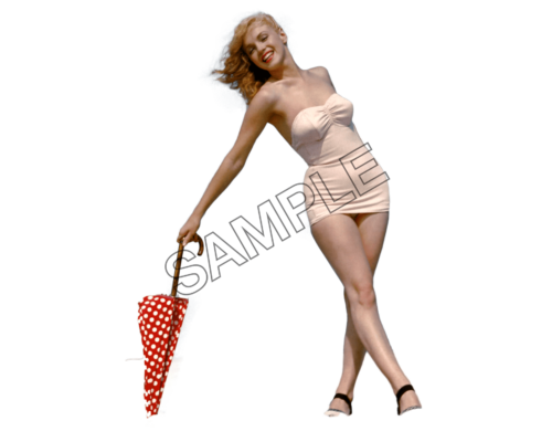 Marilyn Monroe Posing sample image png