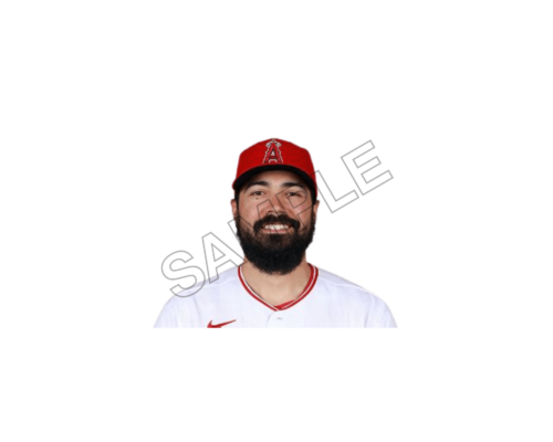 Anthony Rendon sample image png