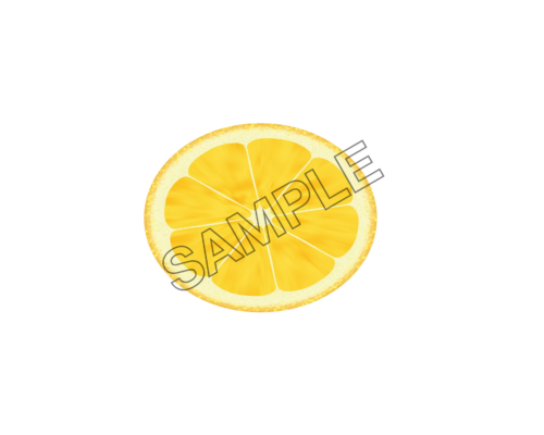 lemon slice sample image png