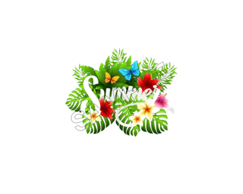 mexico summer sample image png