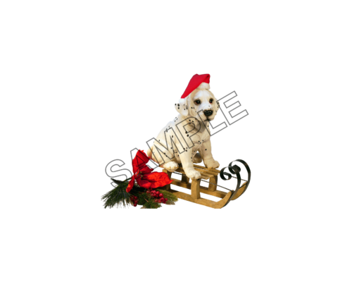 christmas sleigh sample image png