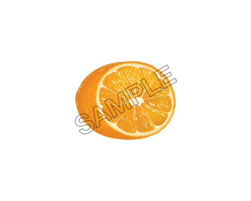 orange rich sample image png