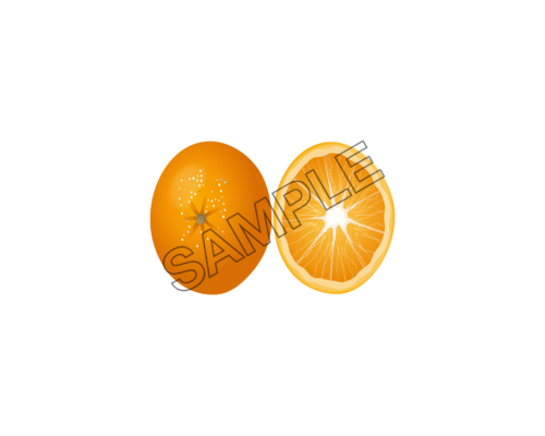 orange appetizing sample image png