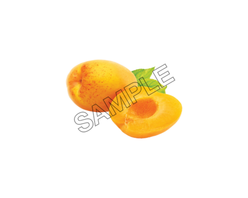 apricot adult sample image png