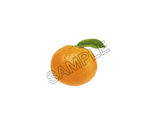 orange taste sample image png