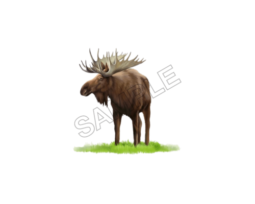 animals sample image png