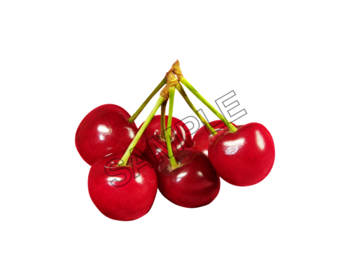 cherry bing sample image png