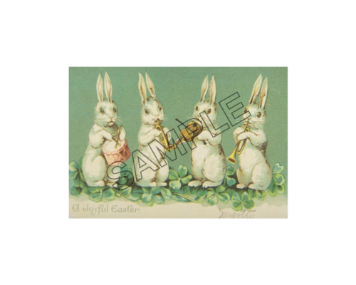 easter bunnies sample image png