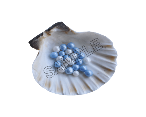 seashells many pearls sample image png