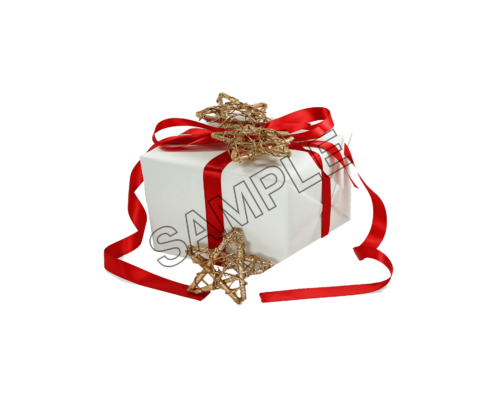 christmas bonus sample image png