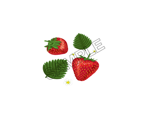 strawberry kind sample image png