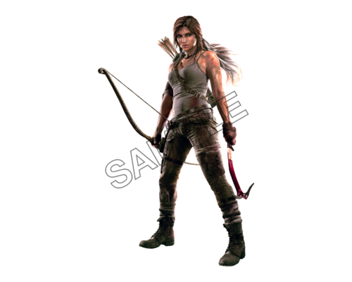 lara croft with arrows sample image png