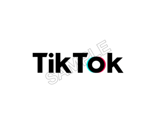 tiktok sample image png