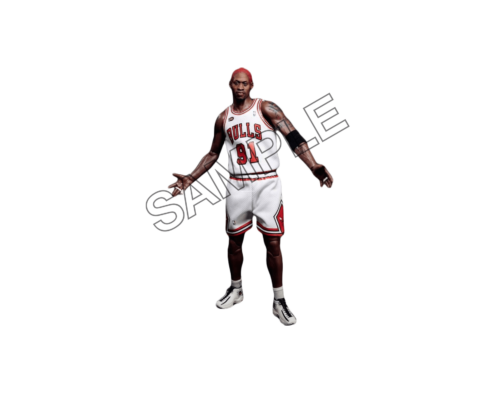 dennis rodman No.91 sample image png