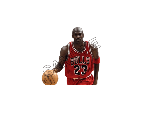 michael jordan sample image png