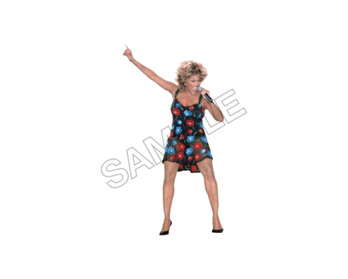 tina turner sample image png