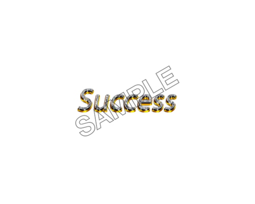 SUCCESS sample image png