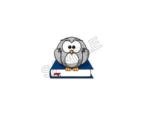 owl wisdom sample image png