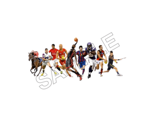 sport and summer activities sample image png