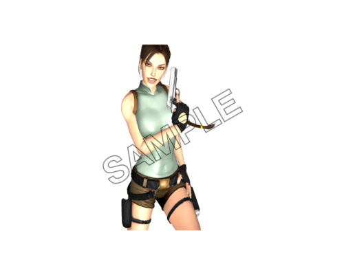 lara croft on guard sample image png