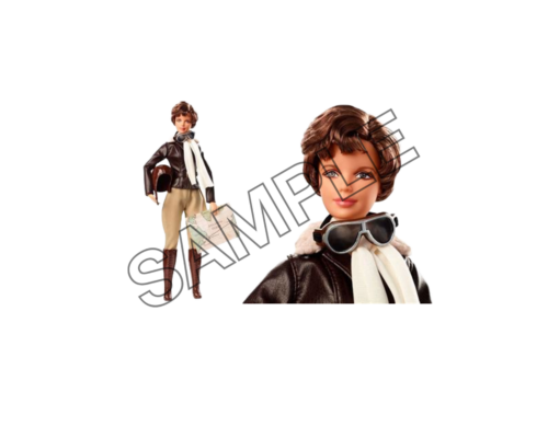 Amelia Earhart toy sample image png