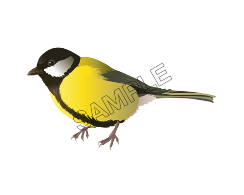 birds yellow sparrow sample image png