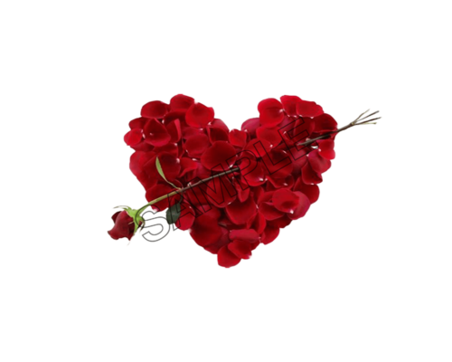 valentine day flower heart sample image png