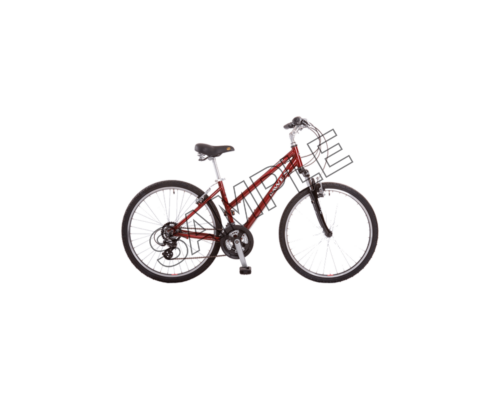 bicycle tourist sample image png