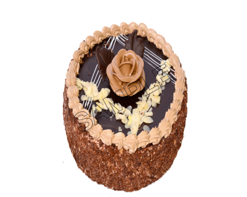 chocolate cake sample image png