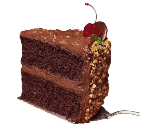 chocolate cake sample image png